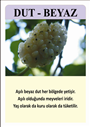DUT ( Beyaz)